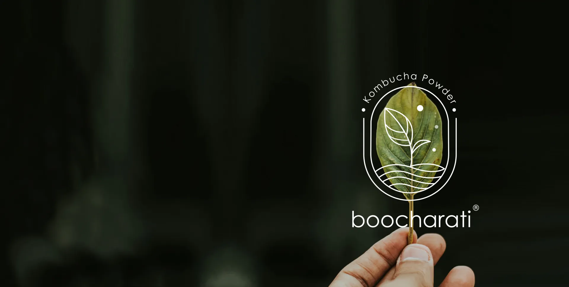 boocharati® Kombucha Powder