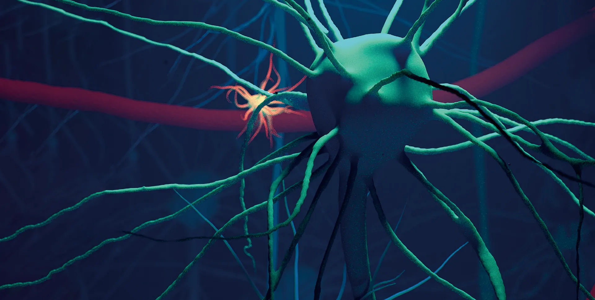 Lysoveta®  an LPC rich oil extract from krill