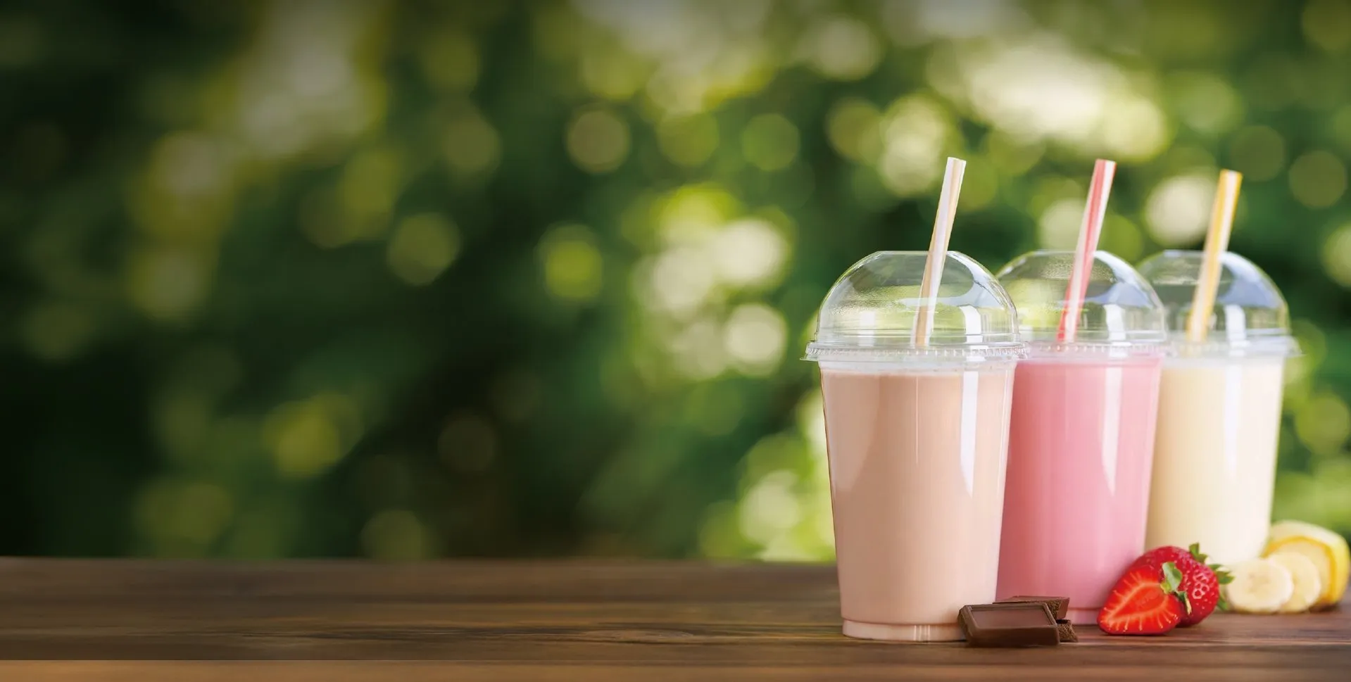 Fuji Oil Co., Ltd. - Soy Protein Isolate