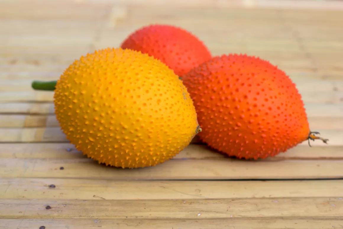 Yellow and orange gac fruit on wooden surface