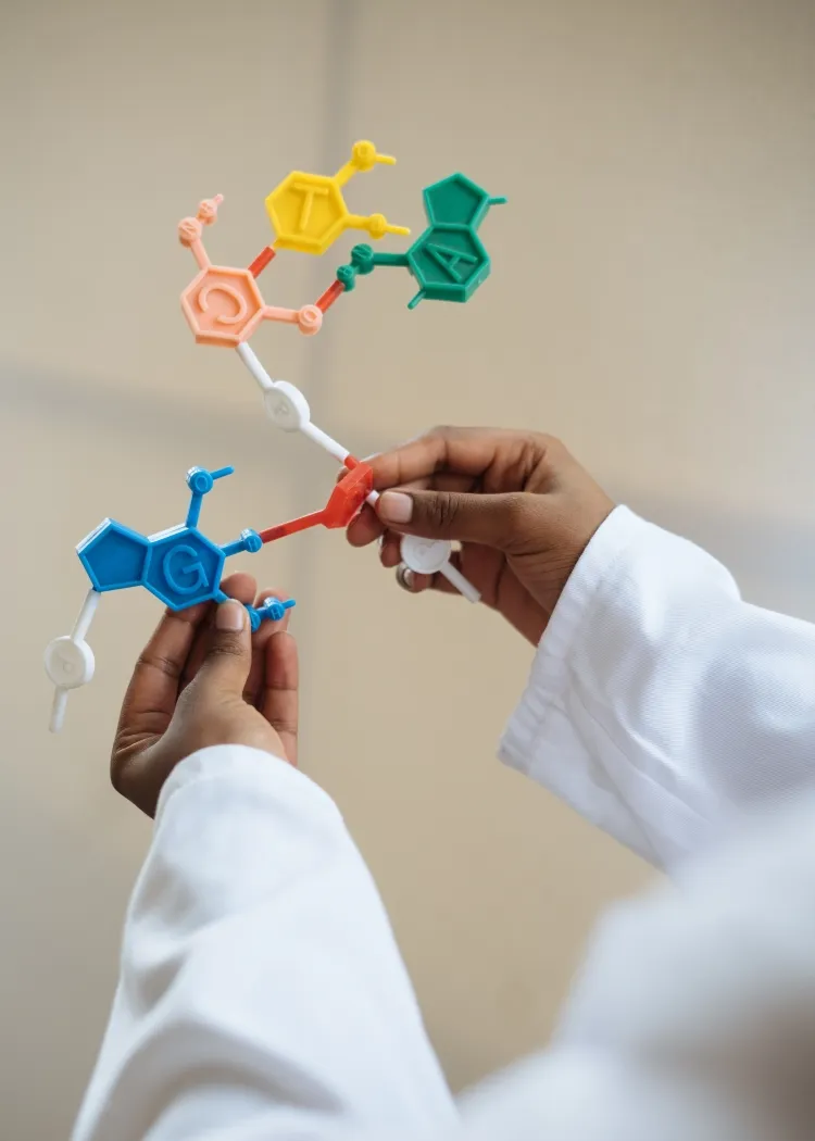 Person in lab coat holding plastic model of molecular structure