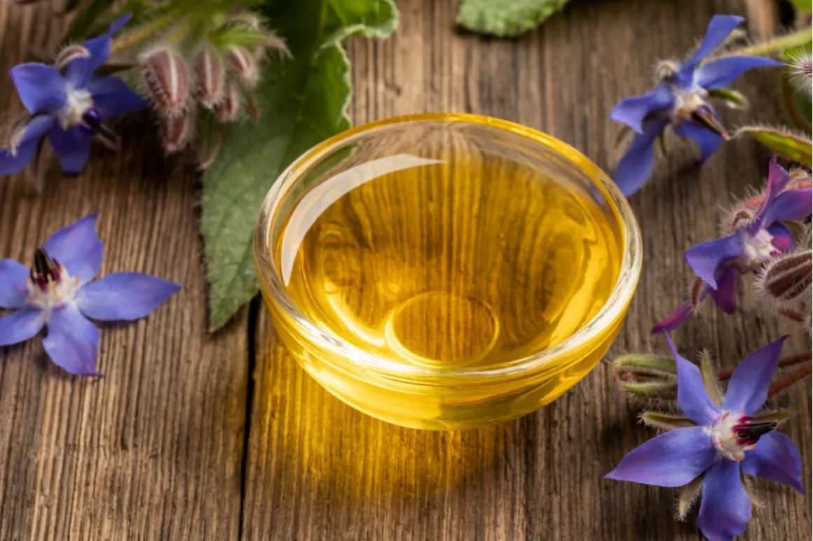 Bowl of plant oil on wooden table surrounded by purple borage blossoms