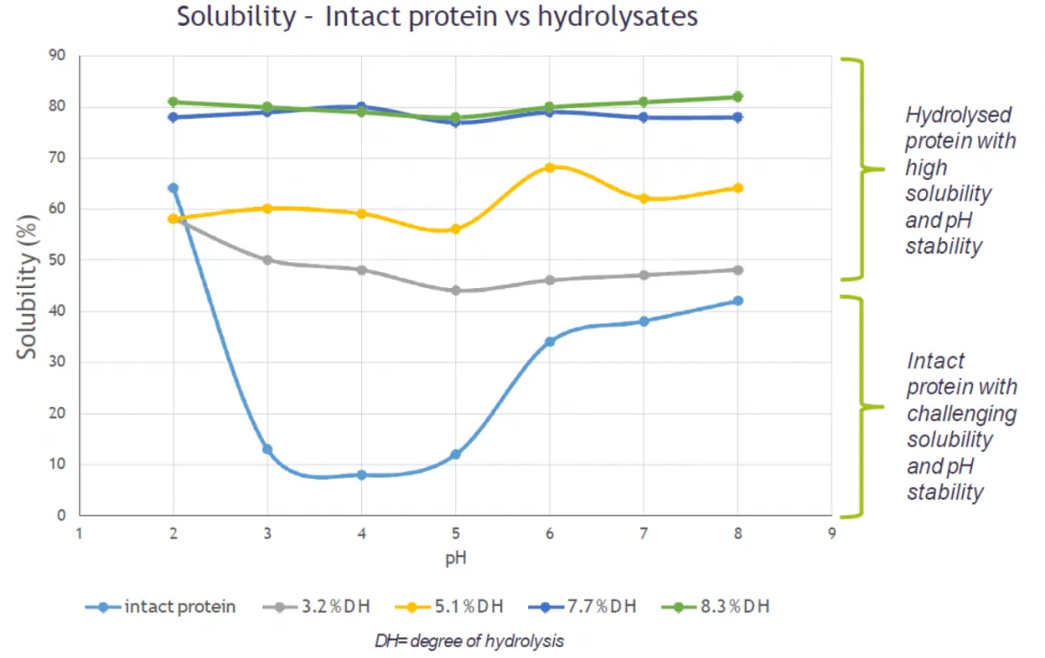Graph highlighting the solubility and stability of hydrolyzed protein 