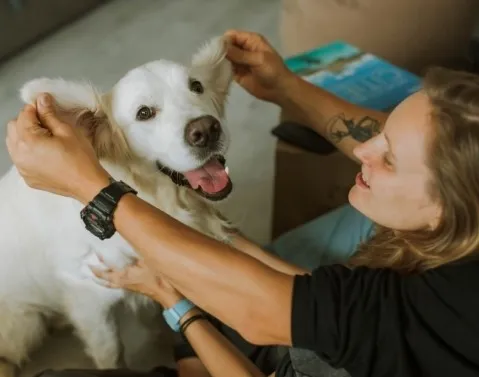 a woman playing around with the ears of a dog