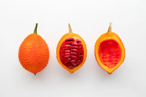 Opened Gac fruit showing the red fruit pulp