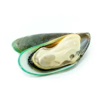 Opened green mussel with flesh visble