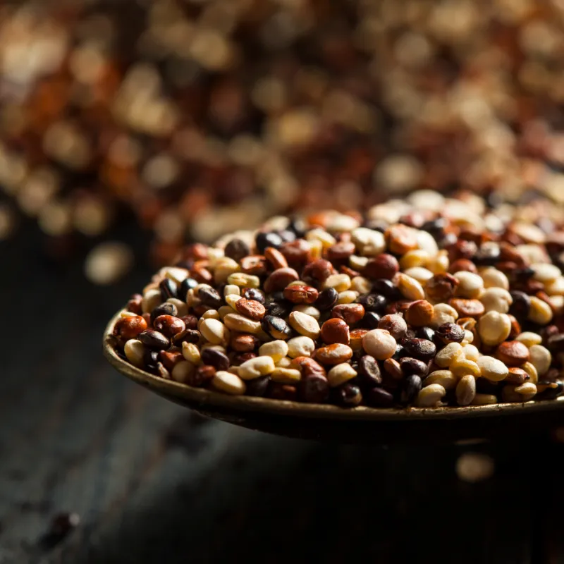 Wooden spoon with differently colored grains of quinoa