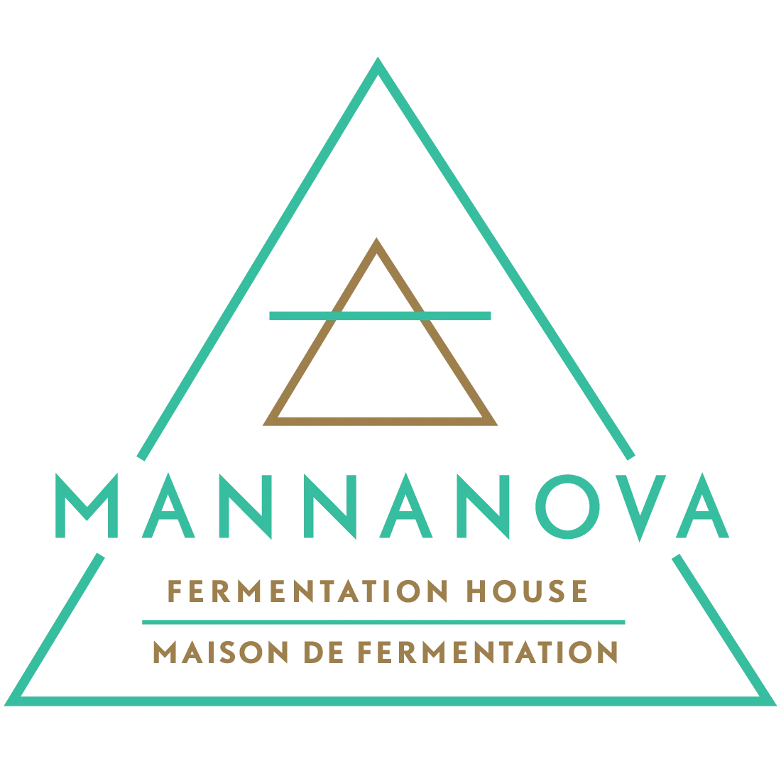 Triangular logo of Mannanova