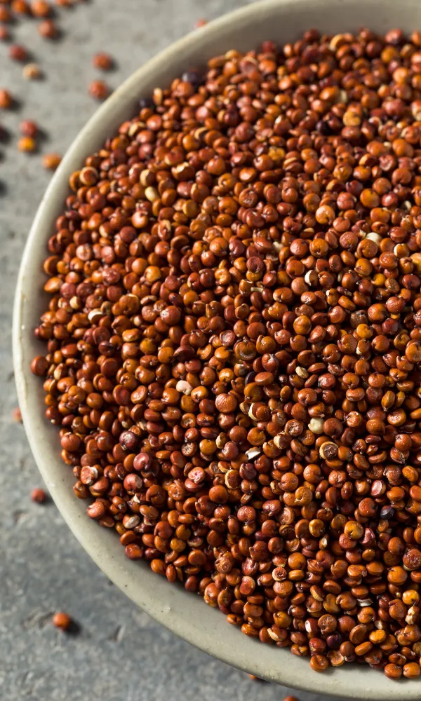 Bowl filled with red quinoa seeds