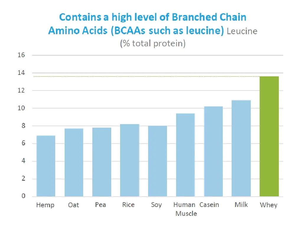 chart of  Contains a high level of Branched Chain Amino Acids