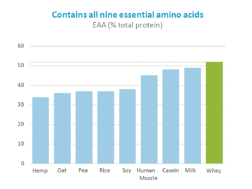 chart of Contains all 9 essential amino acids