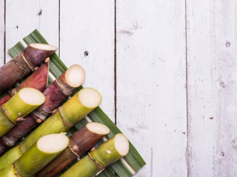 Cut sticks of sugarcane 