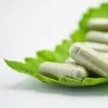 Multiple softgel capsules on a green leaf