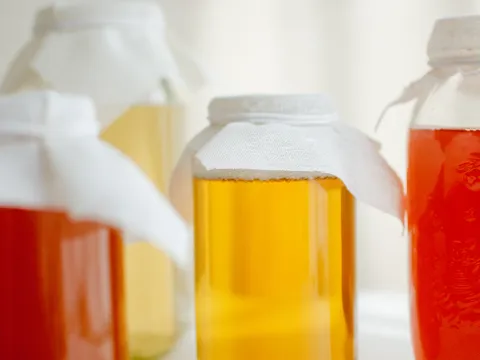 Three bottling jars of homebrewed kombucha