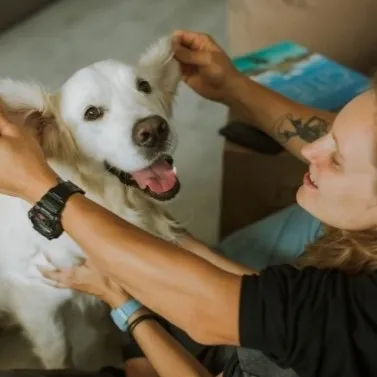 A smiling woman playing with the ears of a white dog