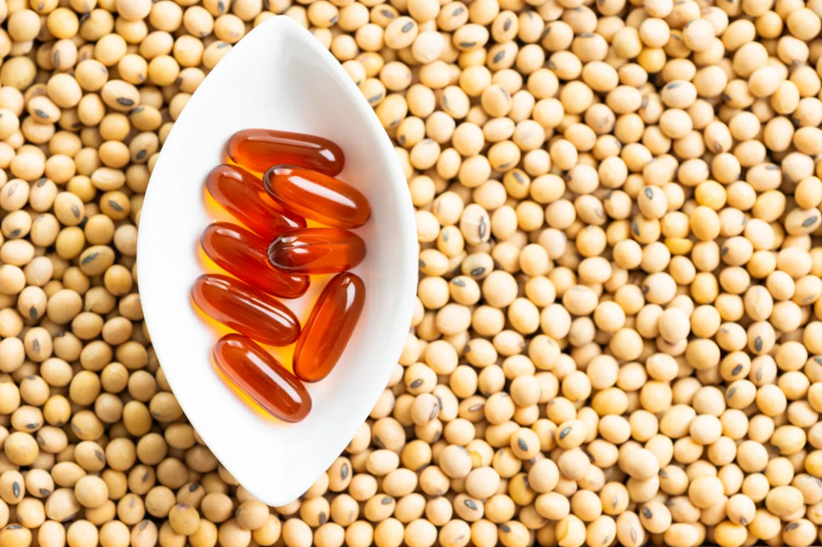 Sofgel capsules among raw soybeans