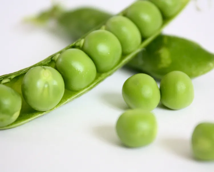 Close up of a pea pod