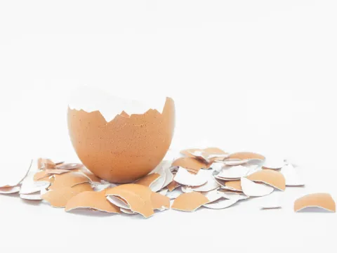 A cracked egg shell