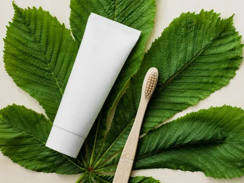 tooth paste and wooden tooth brush on a big leaf