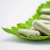 綠色葉子上有多粒膠囊
