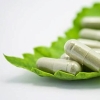 A bunch of capsules on a green leaf