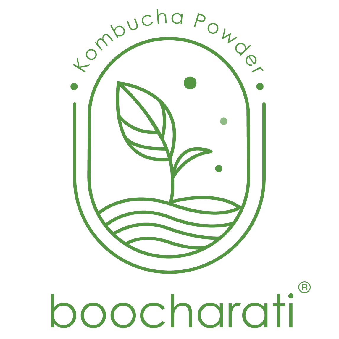 boocharati_logo_275_background removed