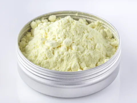 一小碟魚膠原蛋白粉