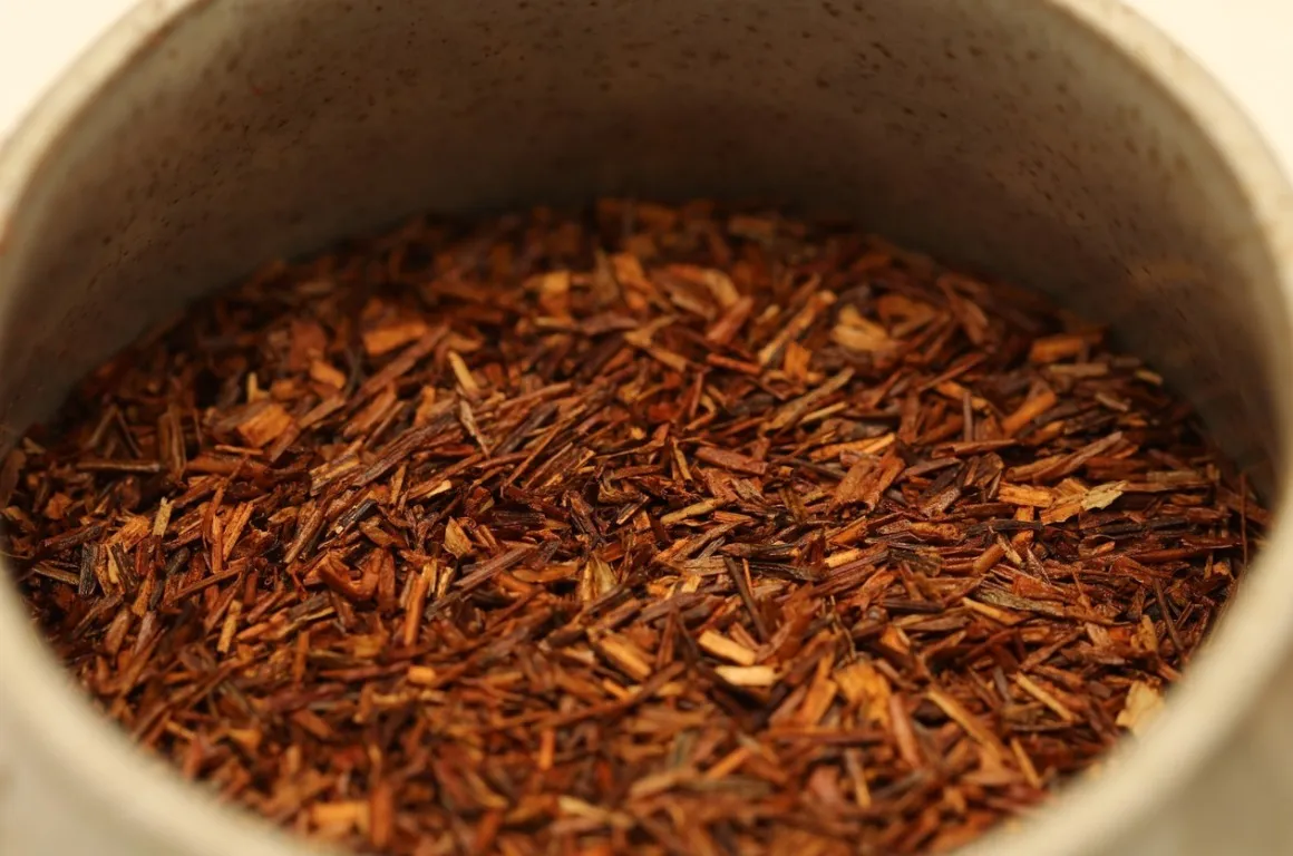 Raw rooibos tea leaves in a ceramic pot