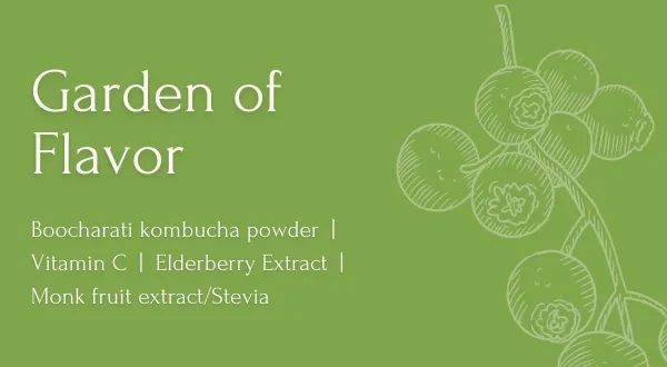 Infographic showing the recipe of the garden of flavor kombucha with Vitamin C and elderberry extract