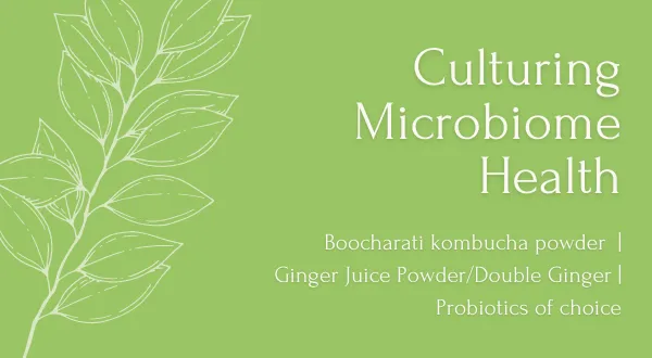 Infographic showing the recipe of microbiom kombucha with ginger juice and probiotics
