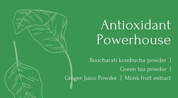 Infographic showing the recipe of antioxidant kombucha with ginger juice powder and green tea powder