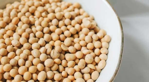 Dried soybeans on a plate