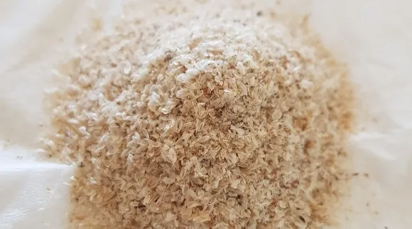 A small pile of psyllium husk