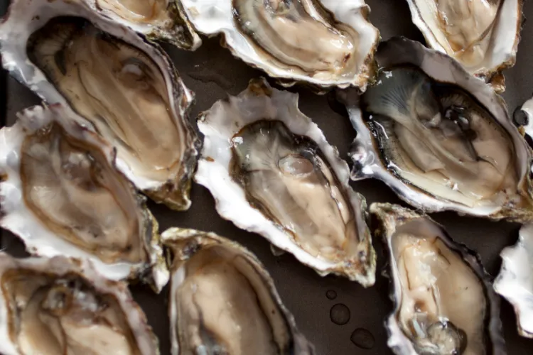 Halved oysters with the mussel flesh visible