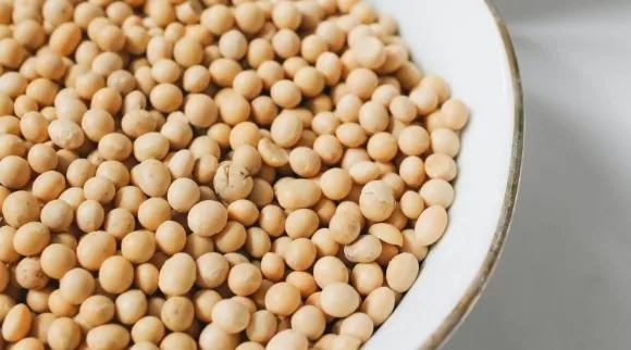 Dried soybeans on a plate