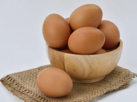 BiovaFlex® Soluble Egg Membrane