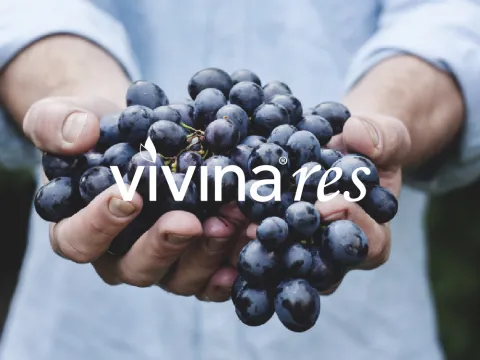 vivina® res｜Resveratrol Ingredient Powder Form Bulk Supply