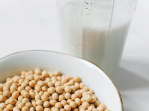 Soy Protein Isolate