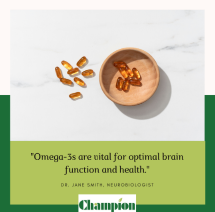 Omega-3 如何支持大腦功能與認知健康