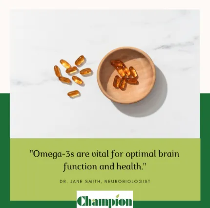 Omega-3 如何支持大腦功能與認知健康