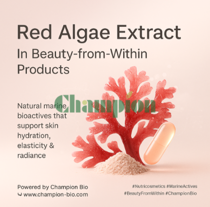 Red Algae Extract and Its Role in Beauty-from-Within Products