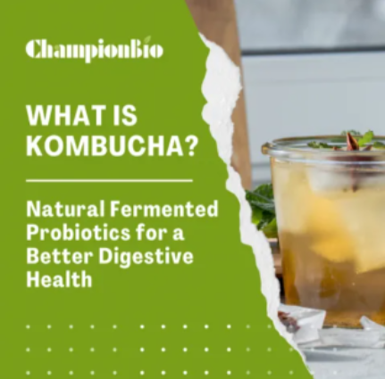 what is kombucha