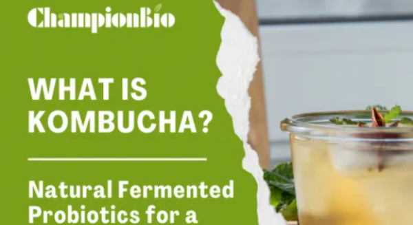 what is kombucha