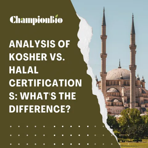 Analysis of Kosher vs. Halal Certifications: What's the Difference?