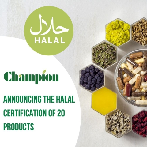 Halal Certification