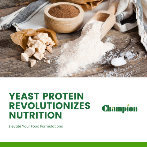 Yeast Protein – A Game-Changer for Functional Food Formulations