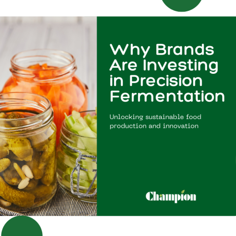 How Precision Fermentation is Reshaping the Nutraceutical Industry
