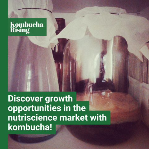 Kombucha market insight