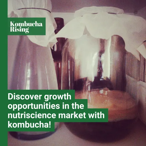 Kombucha market insight