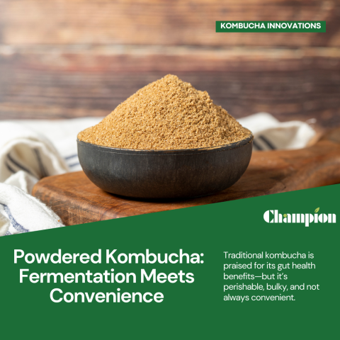 Powdered Kombucha: Fermentation Meets Convenience